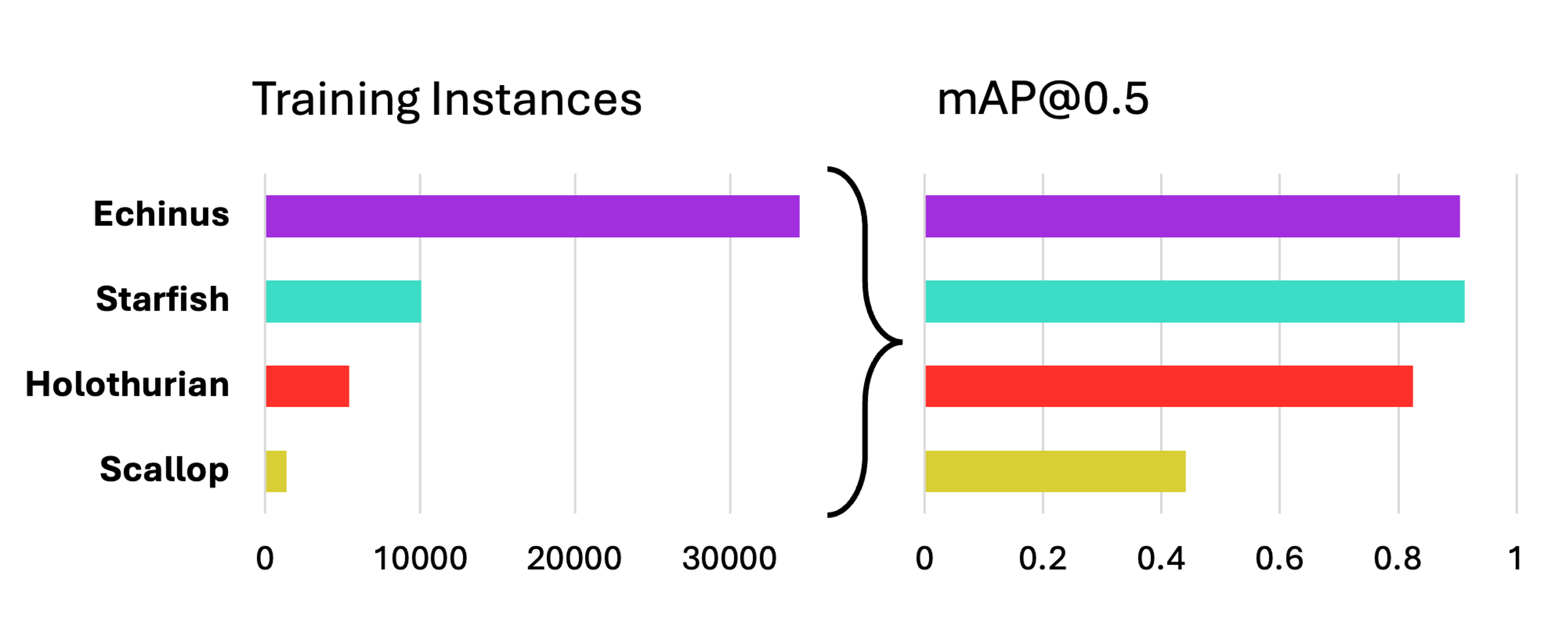 Imbalanced Instances and mAP