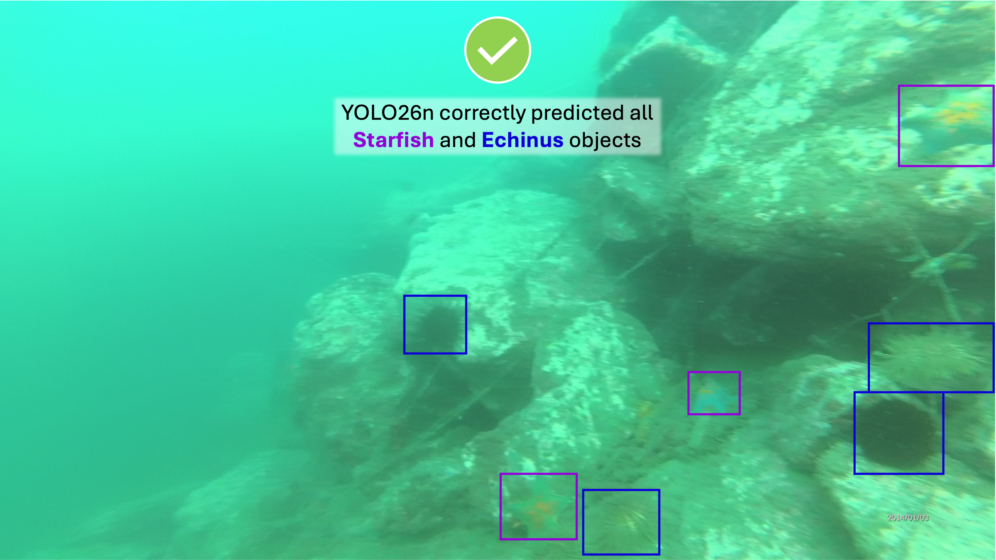Habitat-rich Boulder Reef