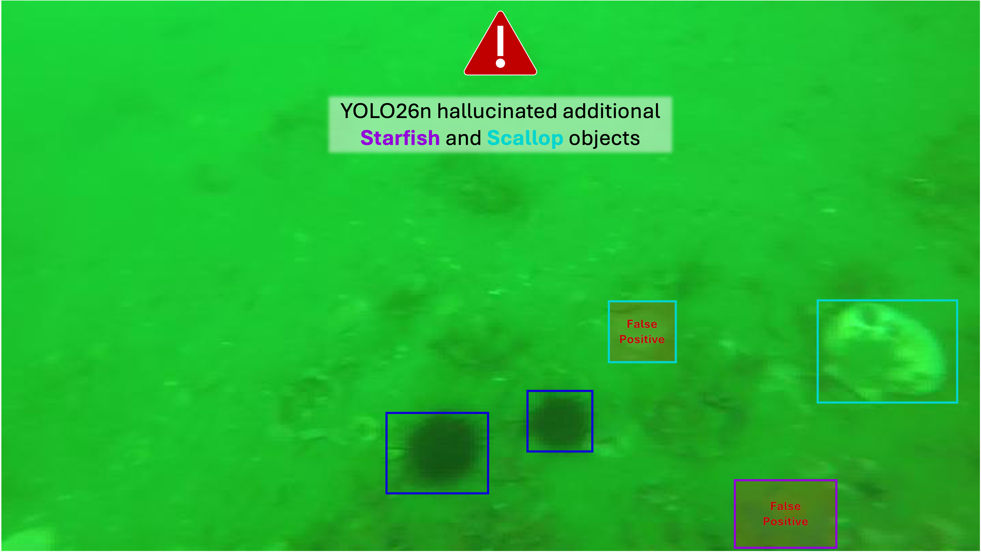 Flat, Sandy Seabed